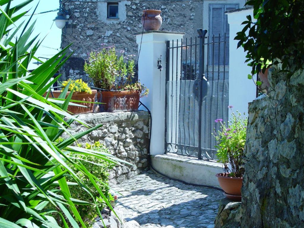 B&B Dell' Artista Артена Экстерьер фото